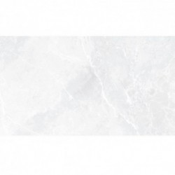 Earthstone White 120X60 G1