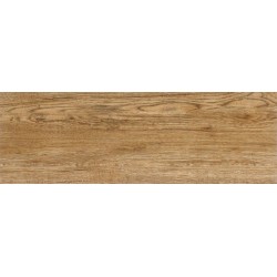 Parma Wood Rett 25X75