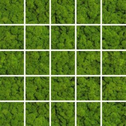 Mozaika Green Moss 24,8X24,8