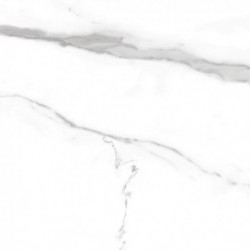 Geotiles Nilo Blanco Polished Rekt. 60X60 G.1