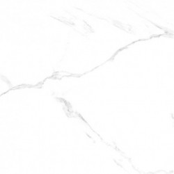Carrara Blanco Poler Rekt 60X60 Gat.1