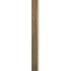 Wood Basic Brown Cokol 6,5X60 G.1